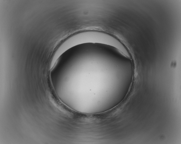 X0000112460201200909071118