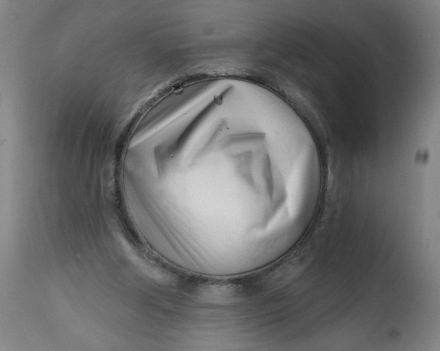 X0000112460202200909071118