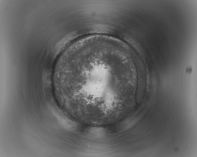 X0000112460203200909071117