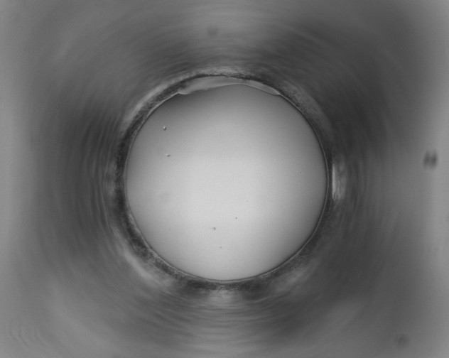 X0000112460204200909071117