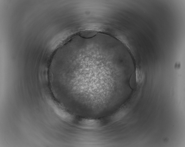 X0000112460205200909071117