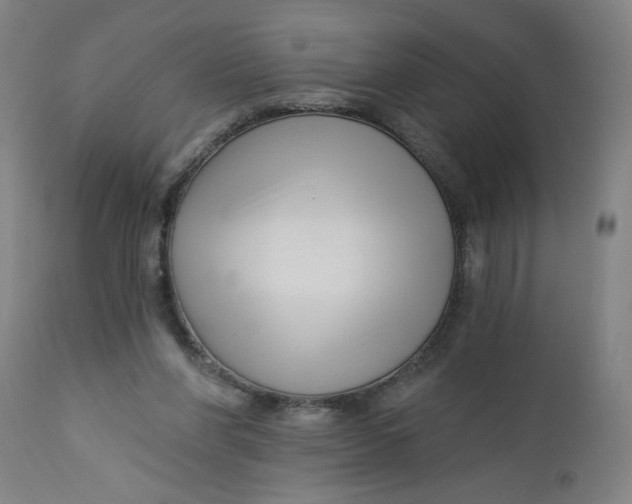 X0000112460206200909071117