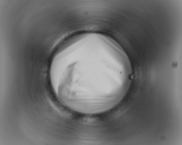 X0000112460208200909071117