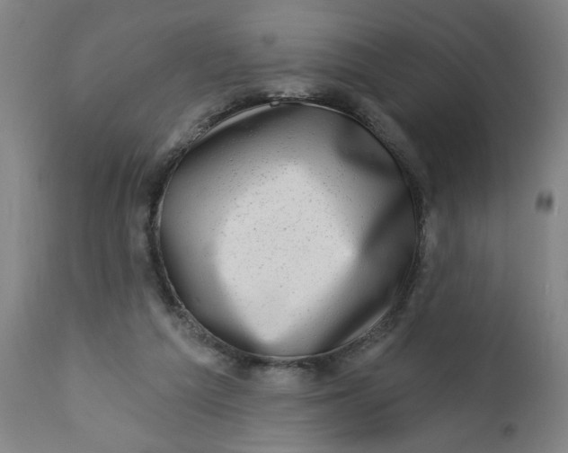 X0000112460209200909071117