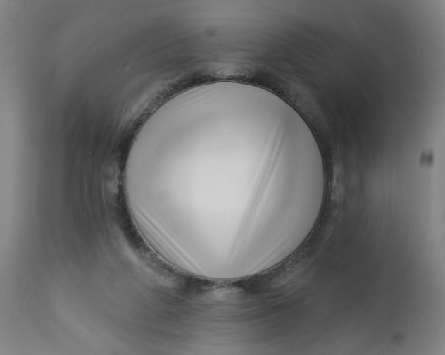 X0000112460210200909071117
