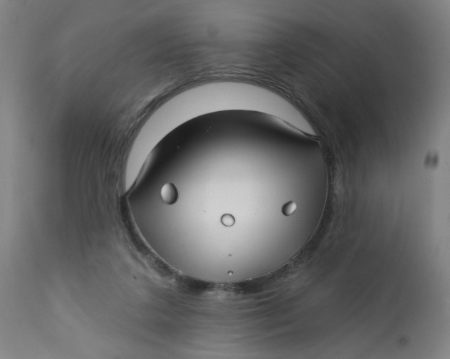 X0000112460211200909071117