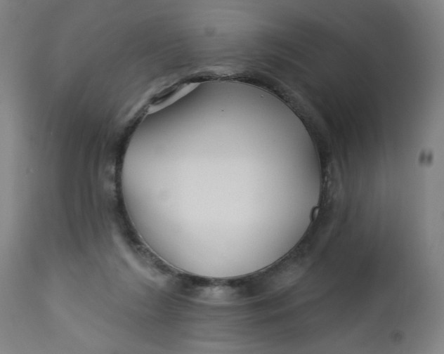 X0000112460212200909071117