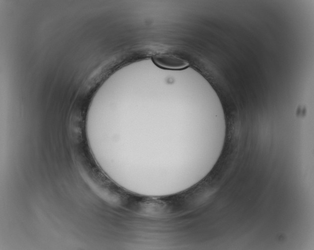 X0000112460215200909071117