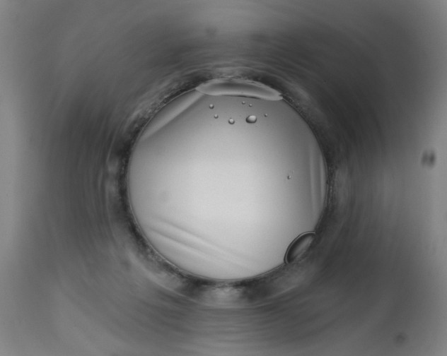X0000112460217200909071117