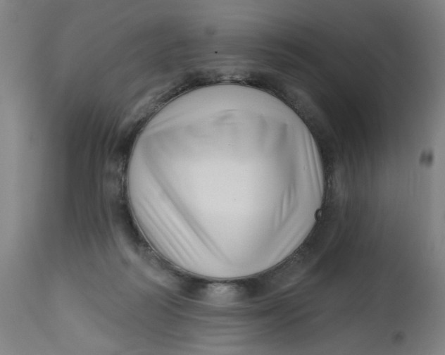 X0000112460218200909071117