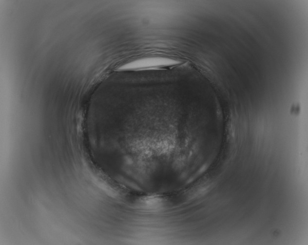X0000112460219200909071117
