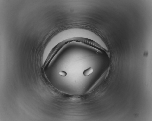 X0000112460220200909071117
