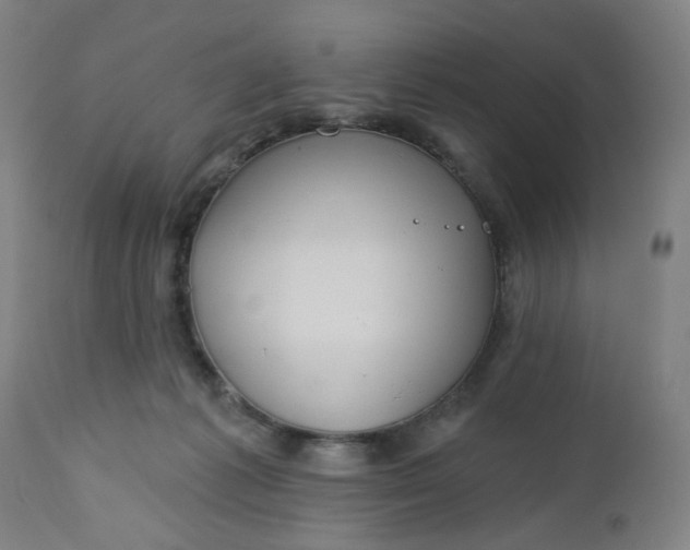 X0000112460221200909071117