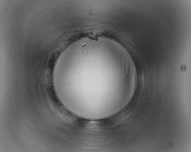 X0000112460222200909071117