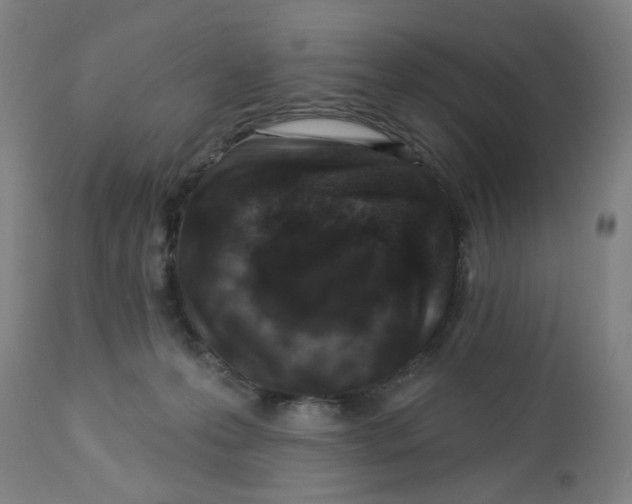 X0000112460223200909071117