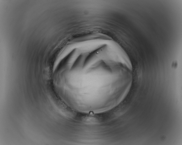 X0000112460224200909071117