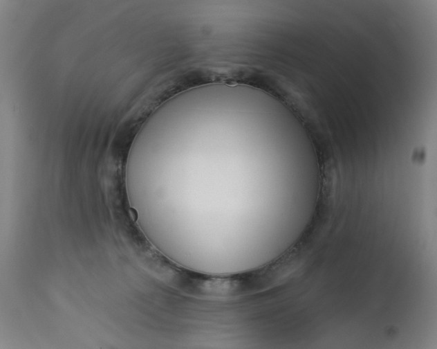 X0000112460225200909071117