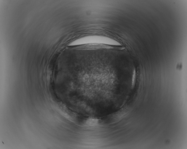 X0000112460227200909071117