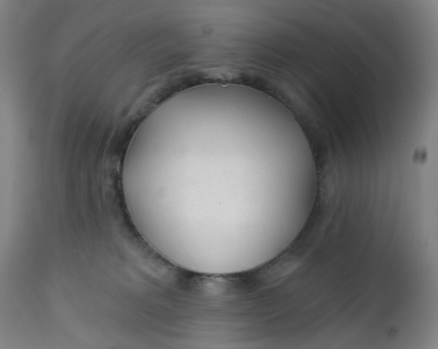 X0000112460229200909071117