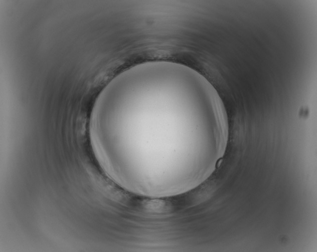 X0000112460230200909071117