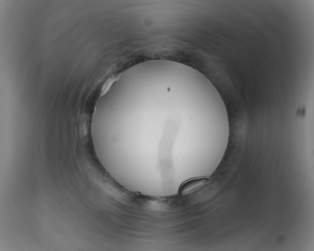 X0000112460232200909071117
