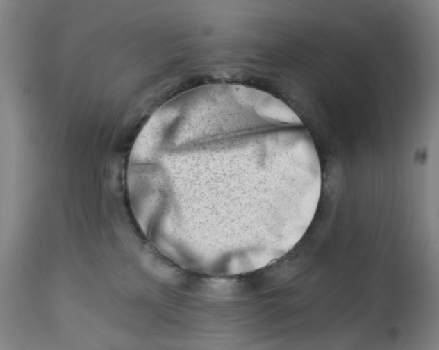 X0000112460233200909071117