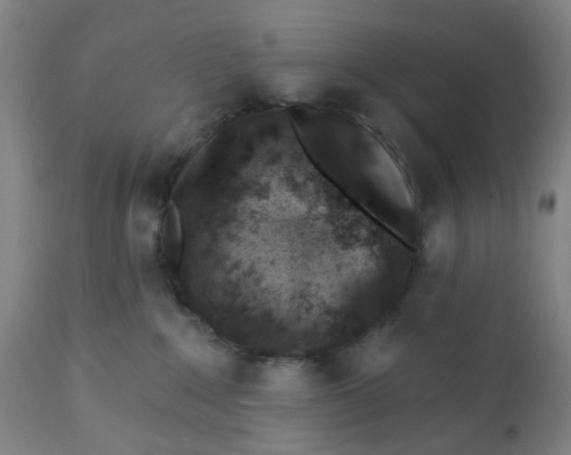 X0000112460235200909071117