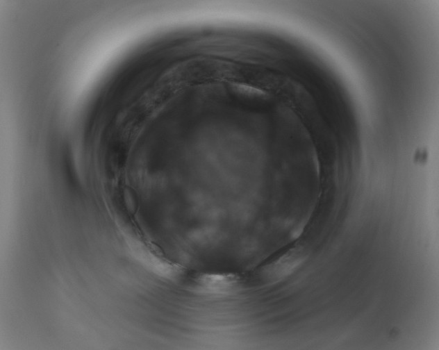 X0000112460239200909071117