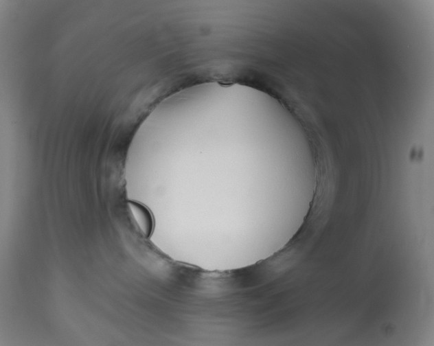 X0000112460240200909071117