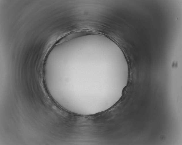 X0000112460241200909071116