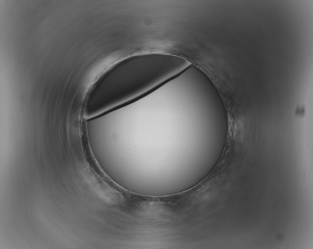 X0000112460244200909071116