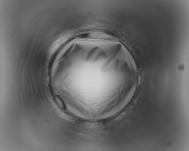 X0000112460245200909071116