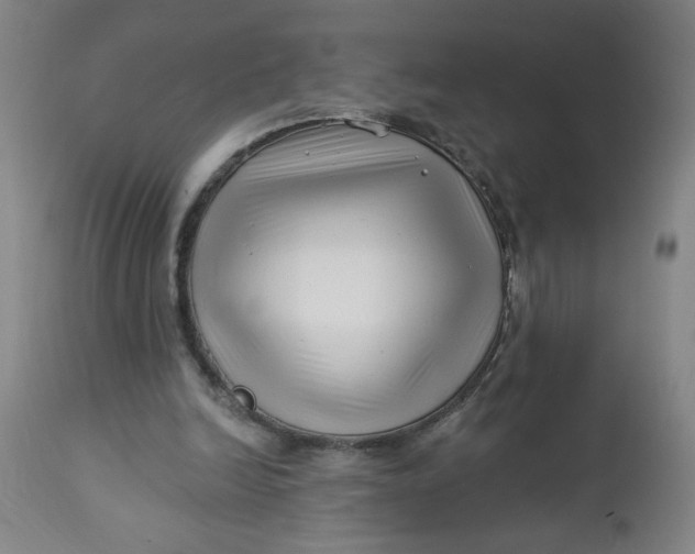 X0000112460246200909071116