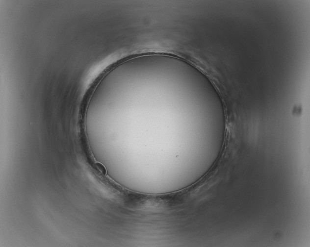 X0000112460248200909071116