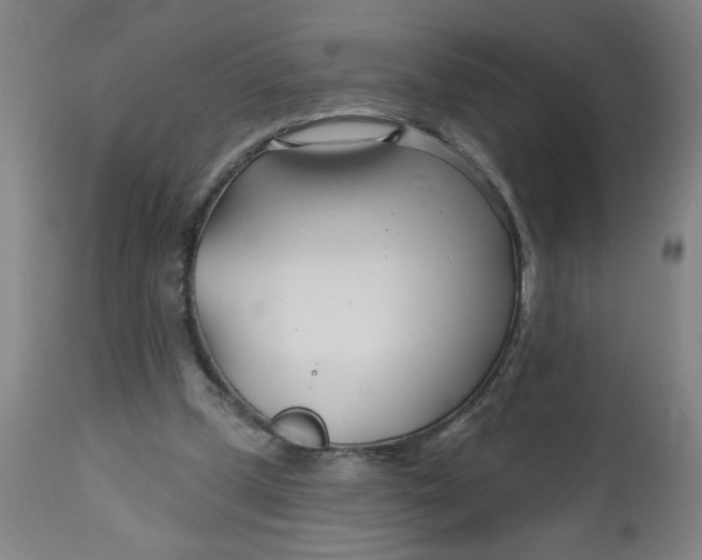 X0000112460249200909071116
