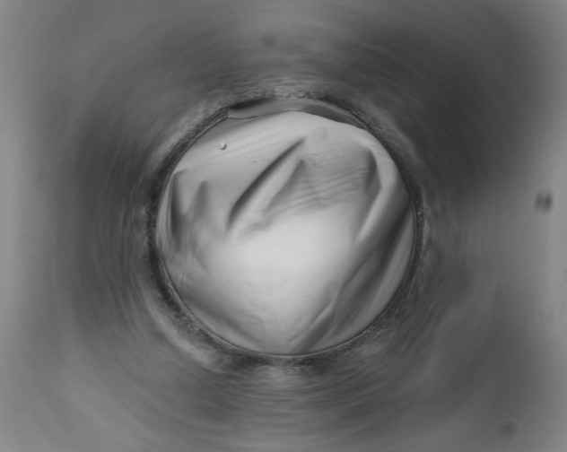 X0000112460250200909071116