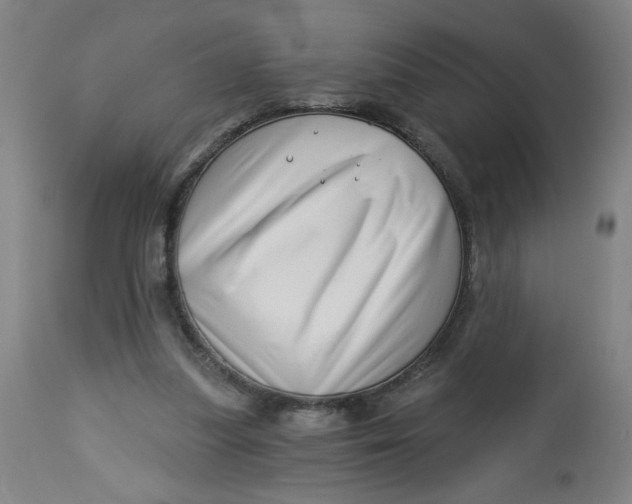 X0000112460251200909071116