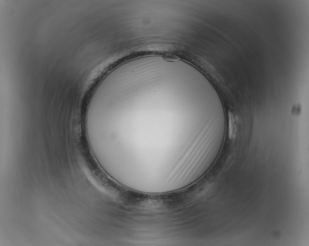 X0000112460252200909071116