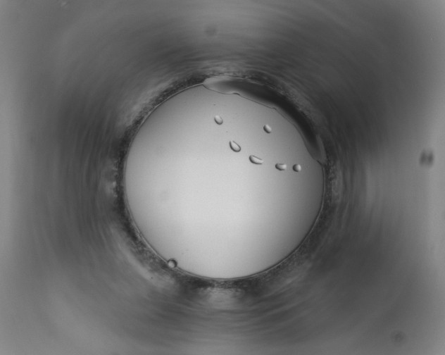 X0000112460255200909071117