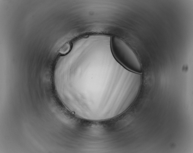 X0000112460256200909071117