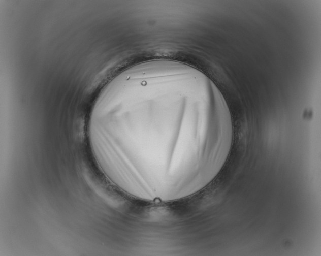 X0000112460262200909071117