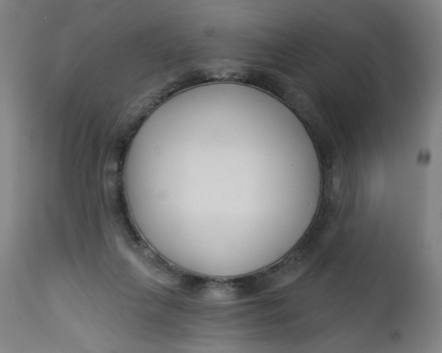 X0000112460263200909071117