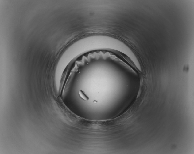 X0000112460264200909071117