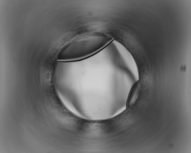 X0000112460268200909071117