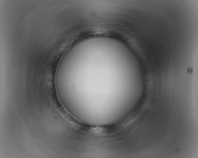 X0000112460269200909071117