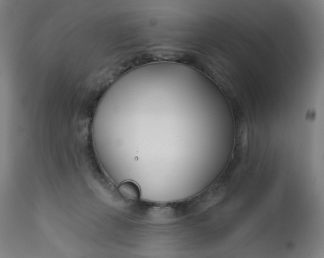 X0000112460271200909071117