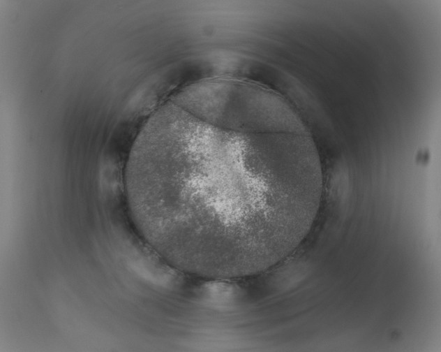 X0000112460272200909071117