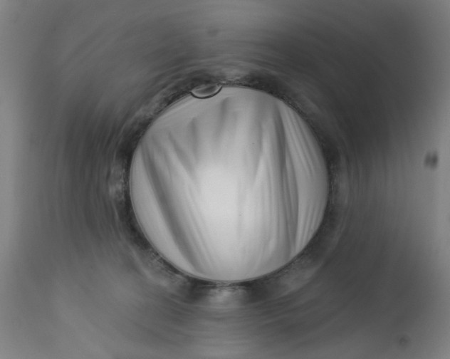 X0000112460274200909071117