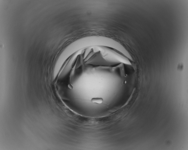 X0000112460276200909071117