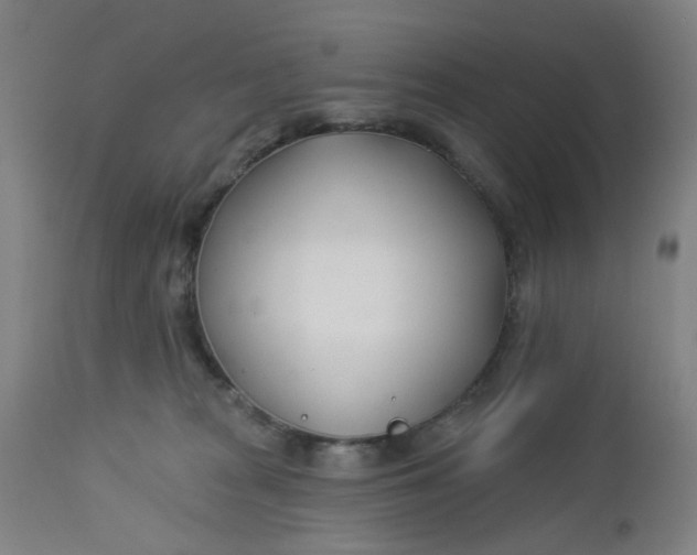 X0000112460277200909071117